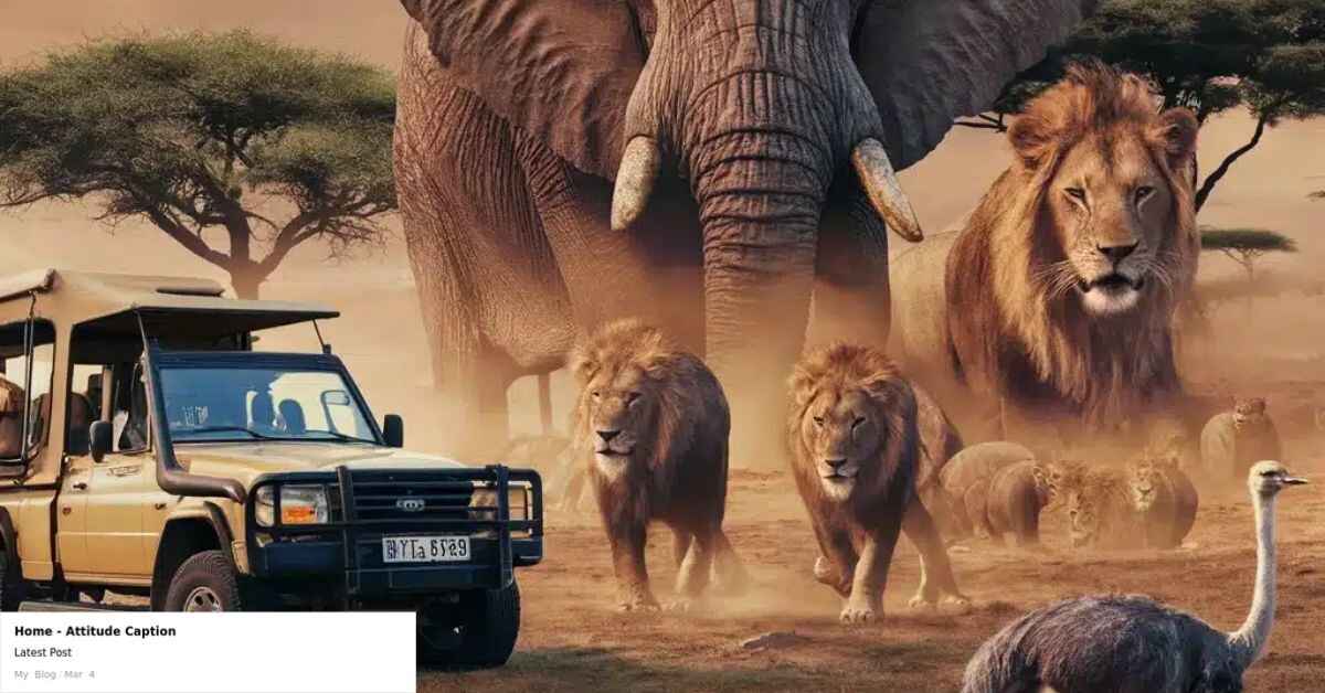 120 Safari Captions For Instagram For Wildlife Lovers