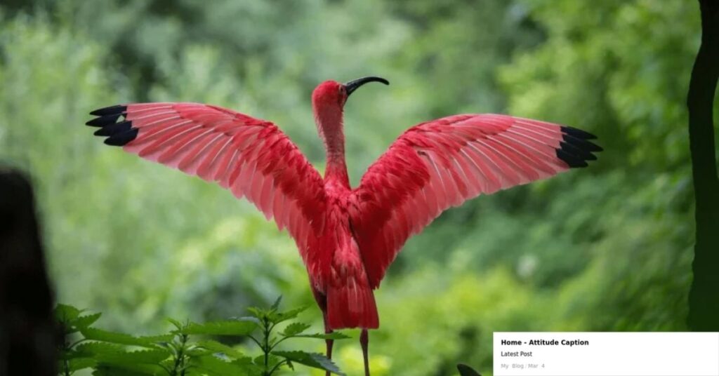 80+ Captivating Wildlife Captions For Instagram
