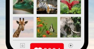 Captivating Wildlife Captions For Instagram