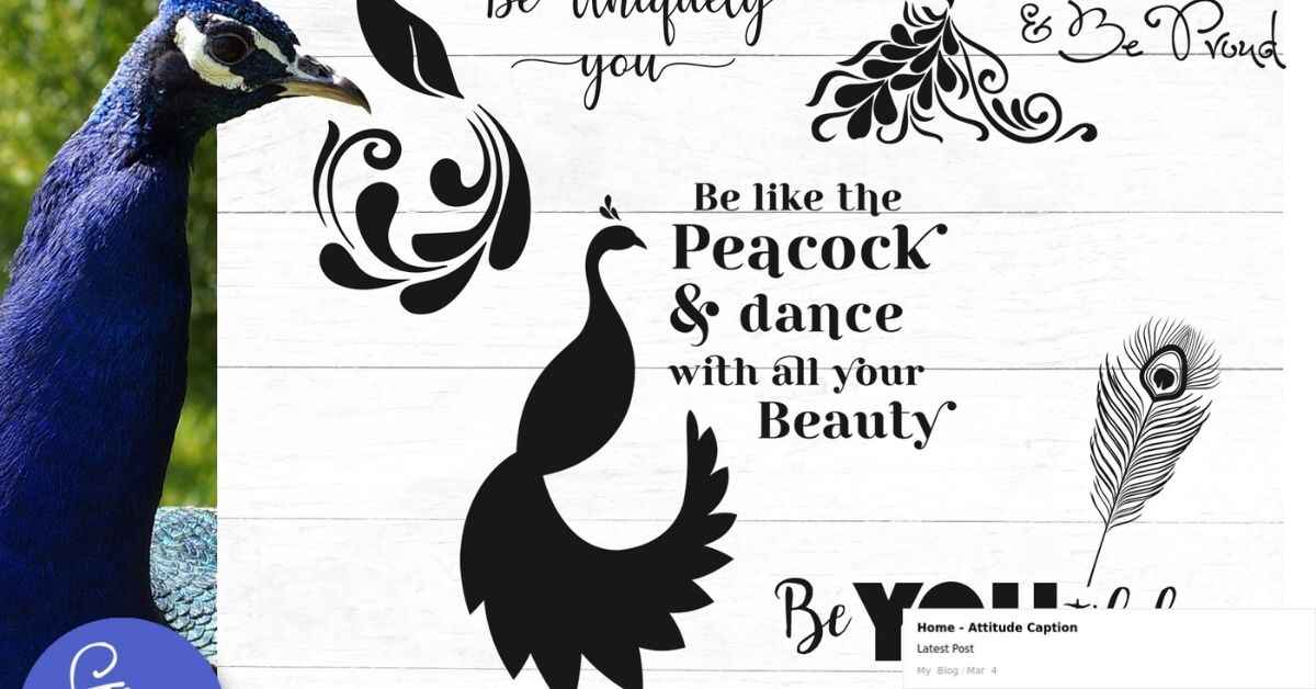 peacock captions for instagram