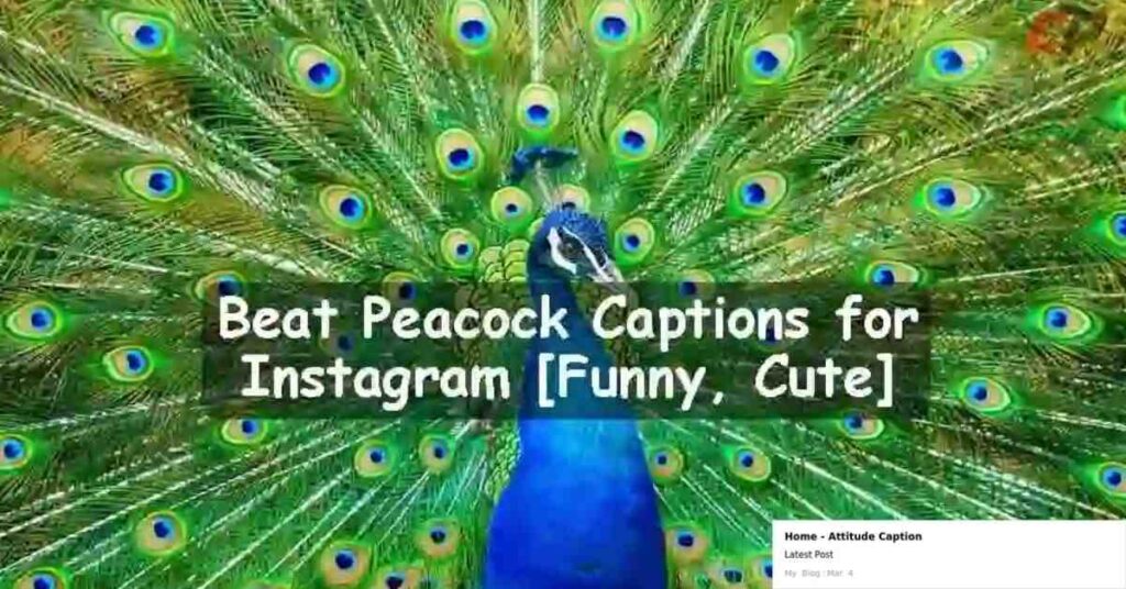 Short Peacock Captions For Instagram