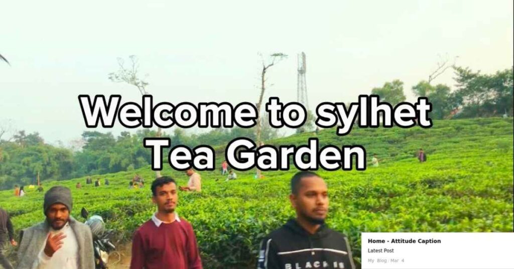 love bengali caption for fb