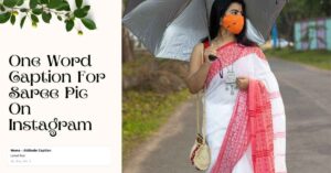 short caption for saree