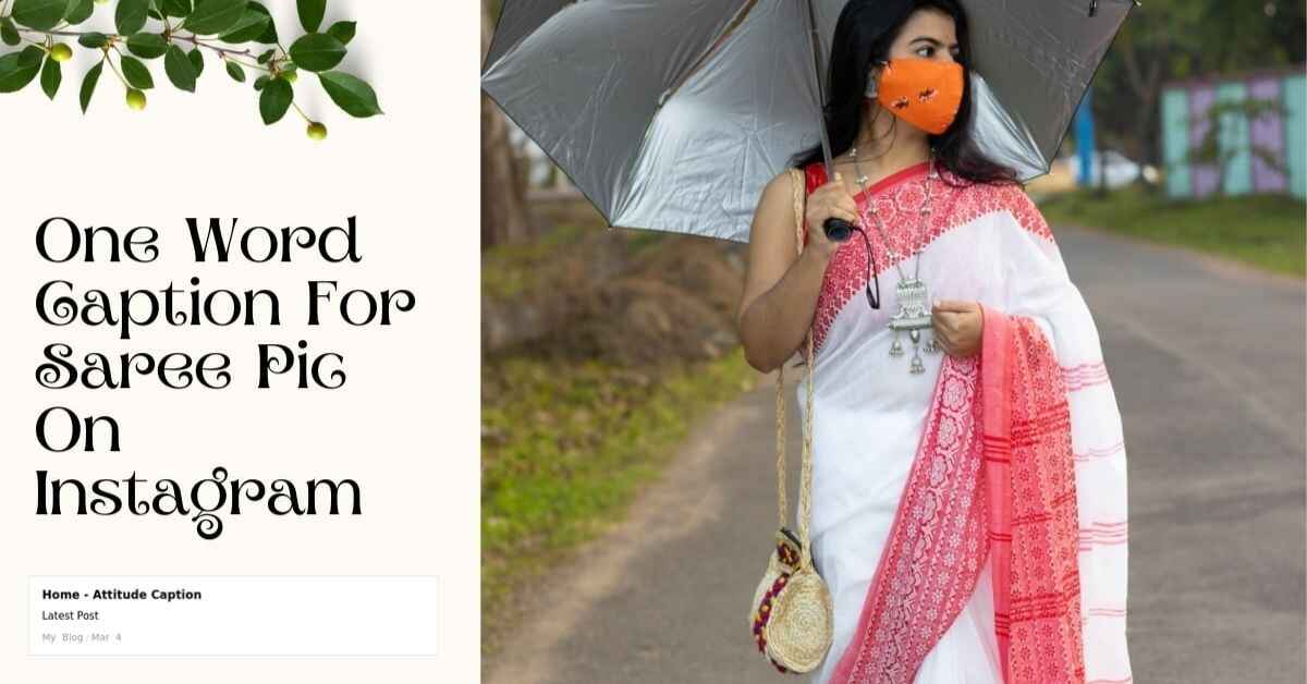 short caption for saree
