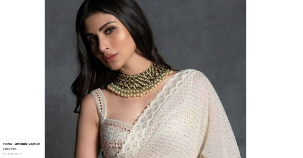 saree pic caption