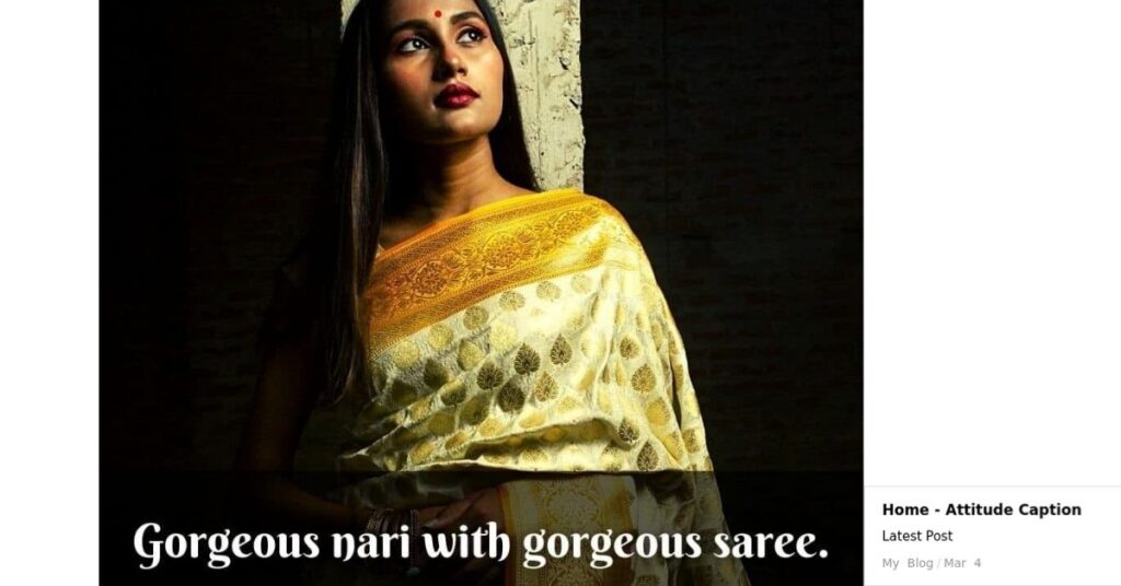 Captions About Sarees
