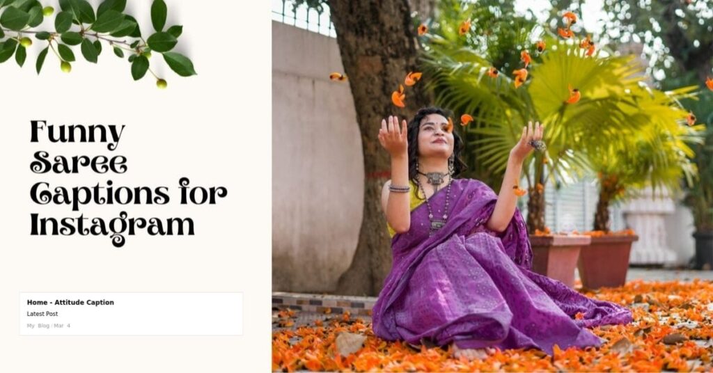 Captions About Sarees 