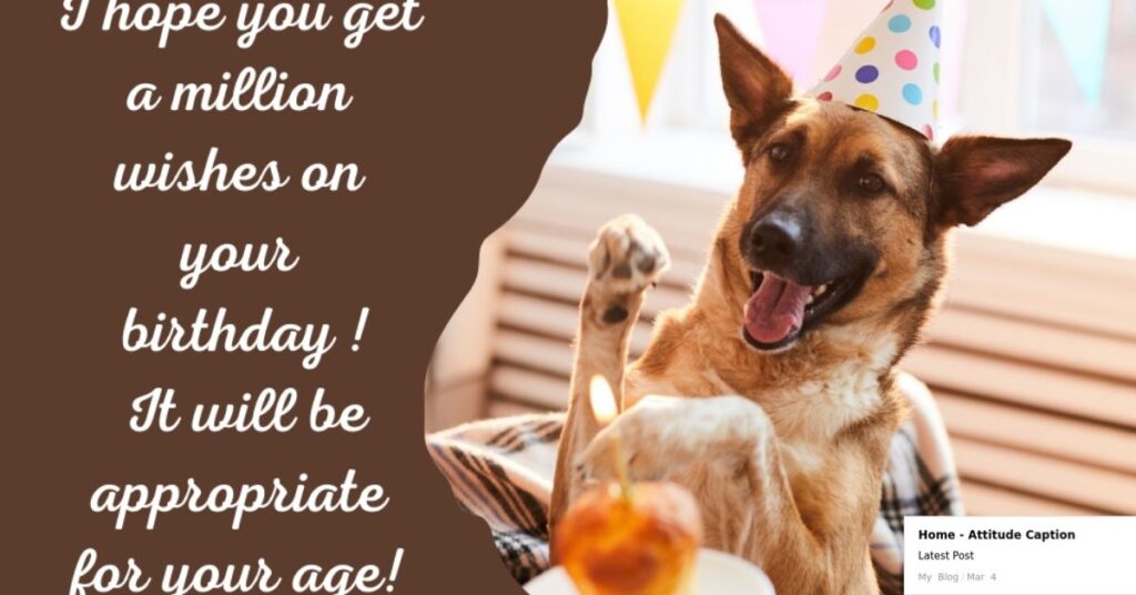 Friend Birthday Wishes Status Funny