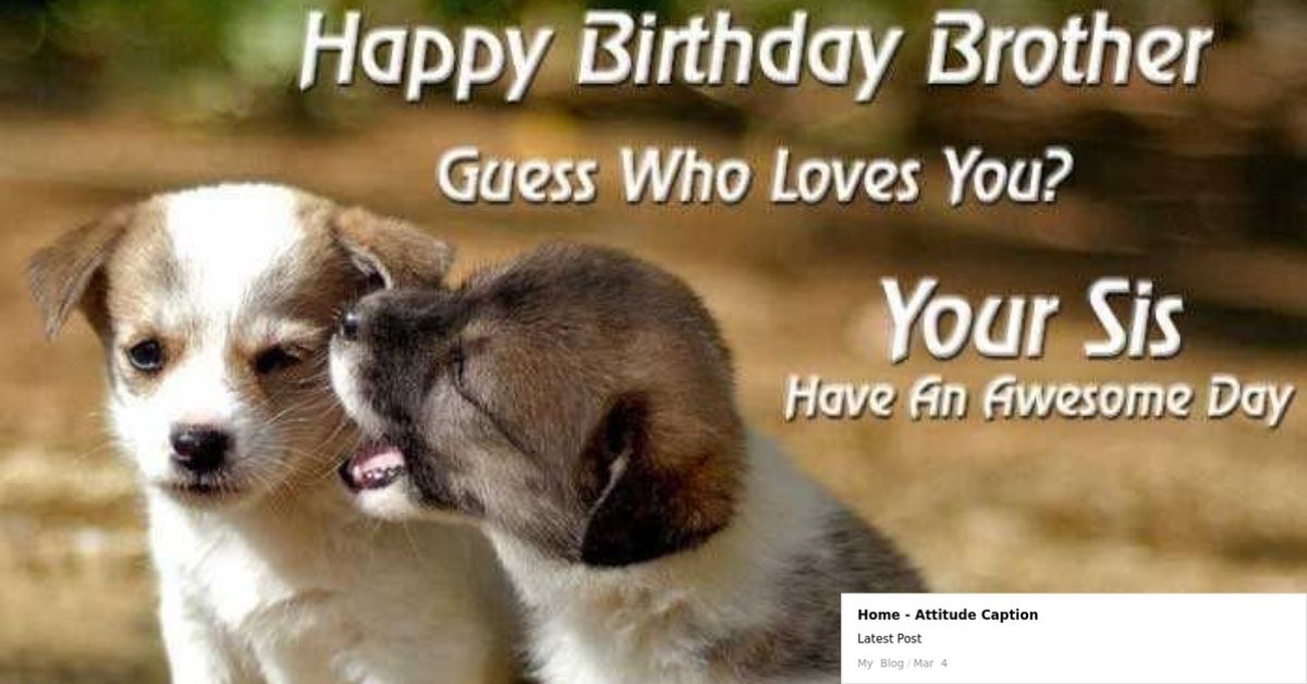birthday quotes for little brother